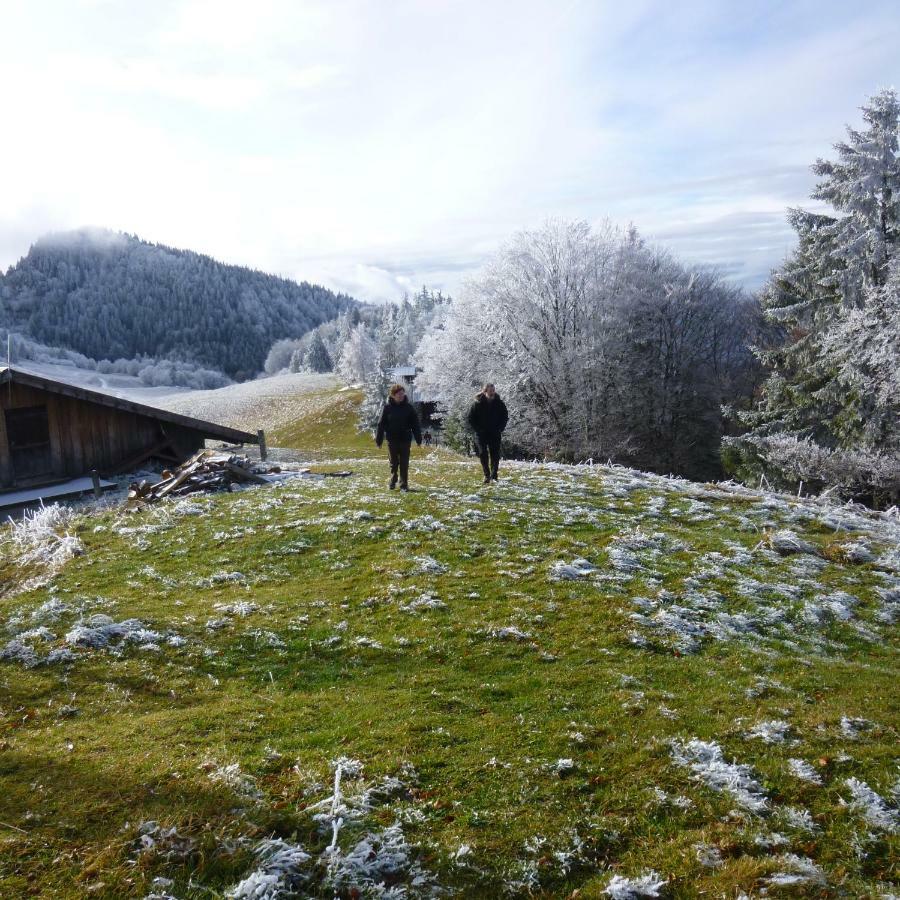 Les Sapins Blancs Daire Vacheresse Dış mekan fotoğraf