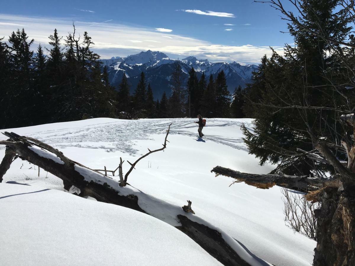 Les Sapins Blancs Daire Vacheresse Dış mekan fotoğraf