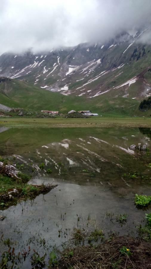 Les Sapins Blancs Daire Vacheresse Dış mekan fotoğraf